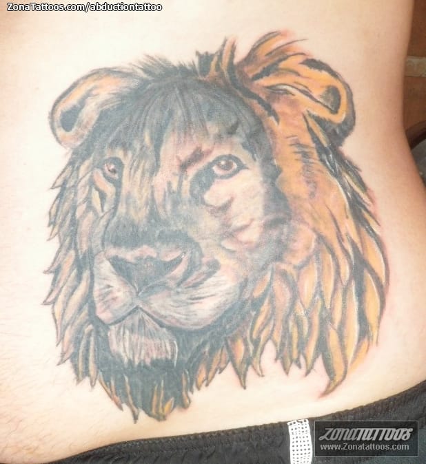 Foto de tatuaje Cover Up, Animales, Leones