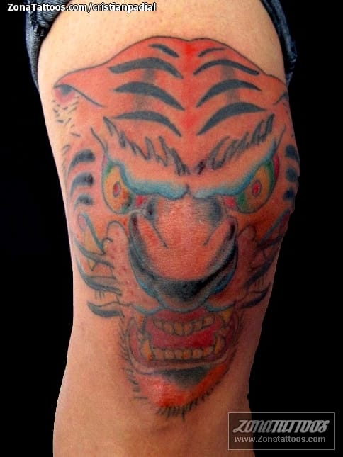 Foto de tatuaje Tigres, Old School, Animales