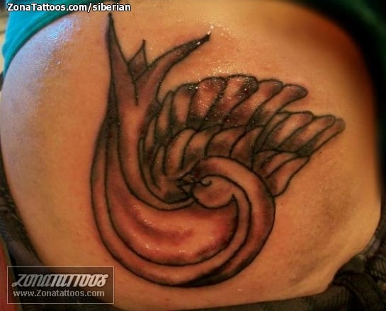 Foto de tatuaje Golondrinas, Aves, Animales