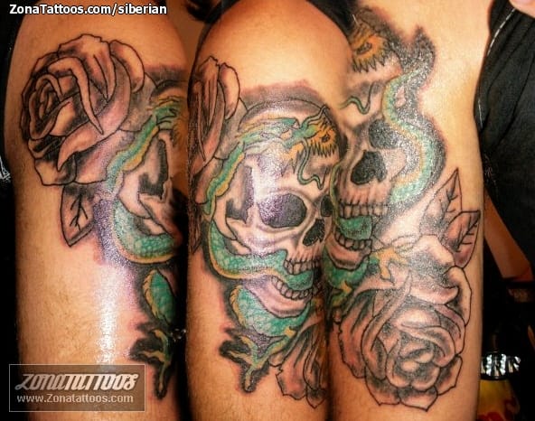 Foto de tatuaje Calaveras, Dragones, Rosas