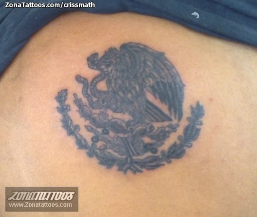 Foto de tatuaje Escudos