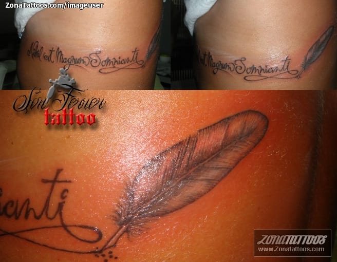 Foto de tatuaje Plumas