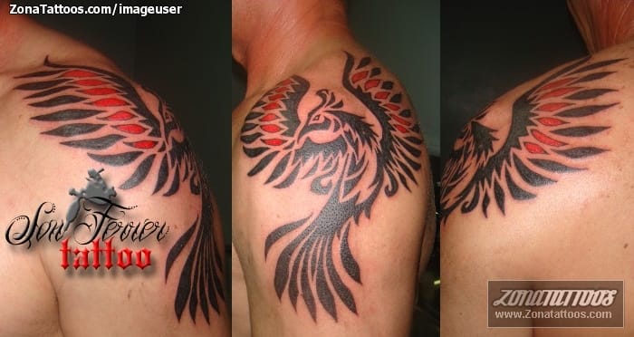 Foto de tatuaje Tribales, Ave Fénix