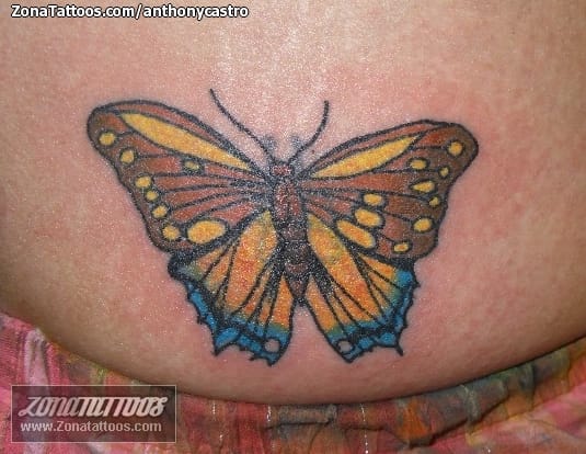 Foto de tatuaje Mariposas, Insectos