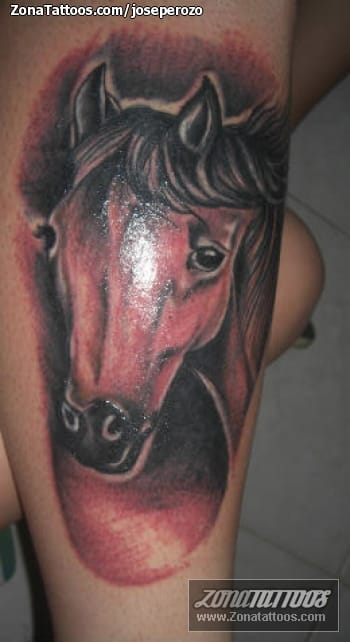 Foto de tatuaje Animales, Caballos