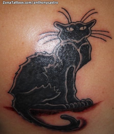 Foto de tatuaje Gatos, Animales