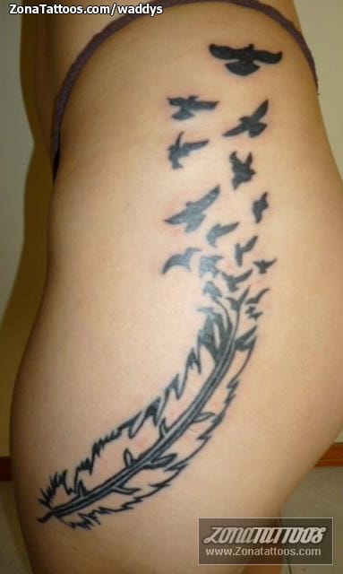 Tattoo photo Feathers, Birds