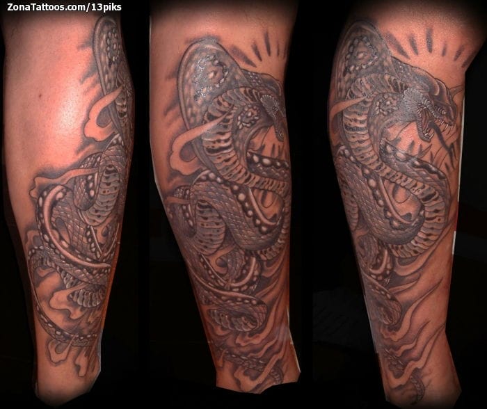 Tattoo photo Snakes, Animals