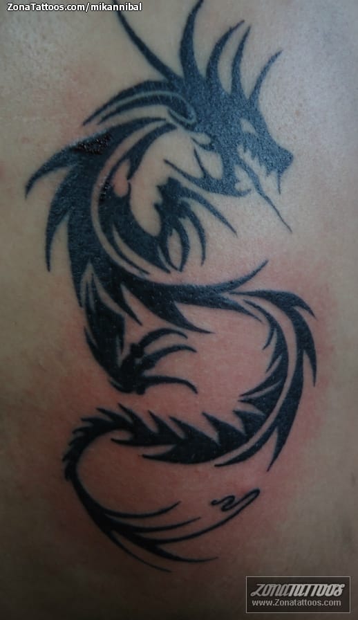 Tattoo photo Tribal, Dragons