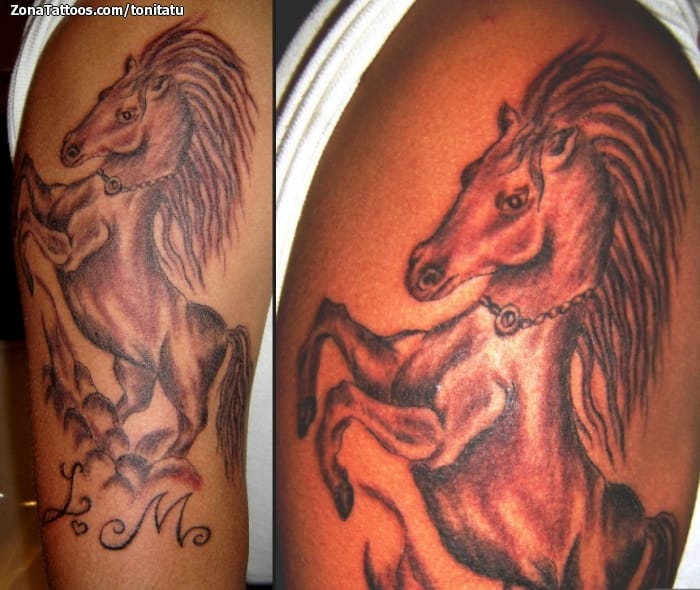 Foto de tatuaje Caballos, Animales