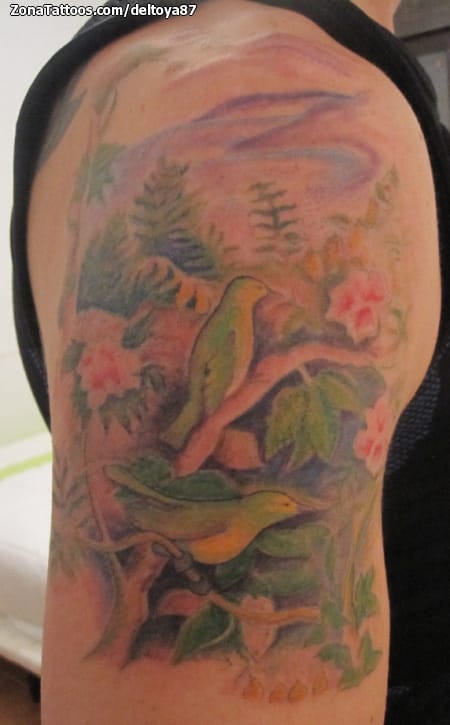 Tattoo photo Birds, Landscapes, Animals