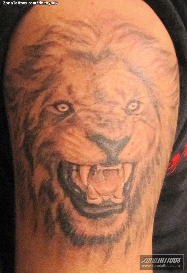 Foto de tatuaje Leones, Animales