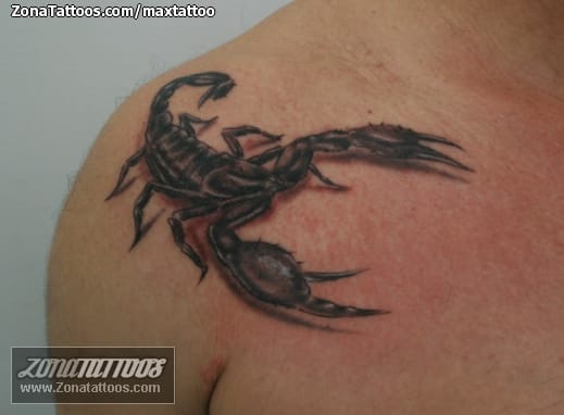 Foto de tatuaje Escorpiones, Insectos, Hombro