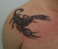 Tatuaje de maxtattoo