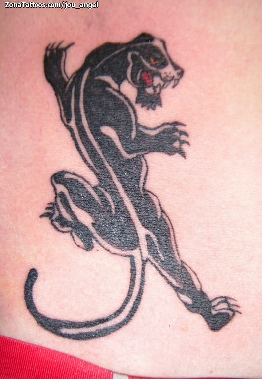 Tattoo photo Animals, Panthers