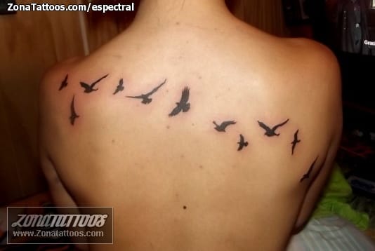 Tattoo photo Animals, Back, Birds