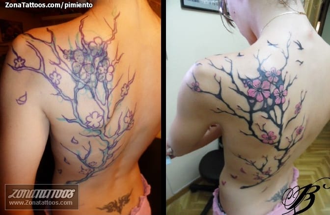 Tattoo photo Back, Cover Up, Cherry blossoms