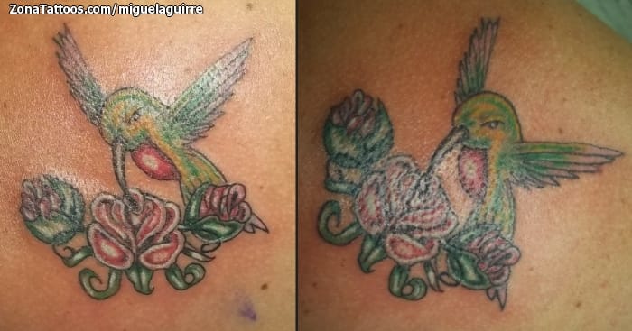 Foto de tatuaje Colibríes, Aves, Animales