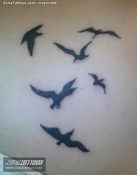 Foto de tatuaje Animales, Aves