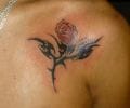 Tatuaje de ashshshhshs