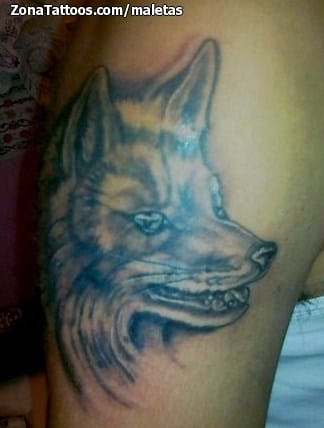 Tattoo photo Foxes, Animals