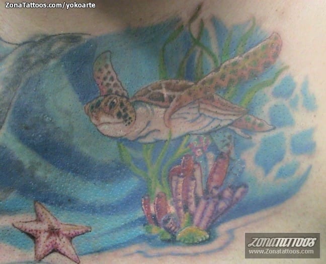 Tattoo photo Turtles, Animals