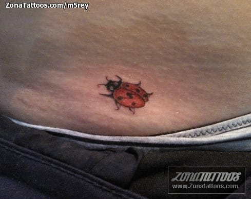 Foto de tatuaje Mariquitas, Insectos