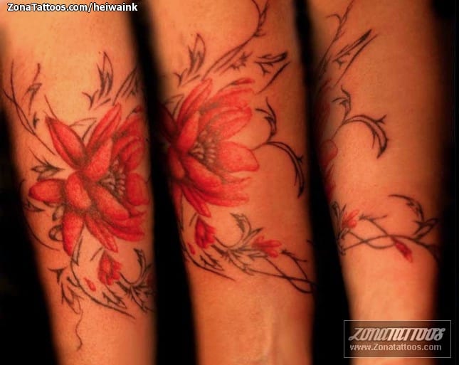 Foto de tatuaje Flores, Lotos