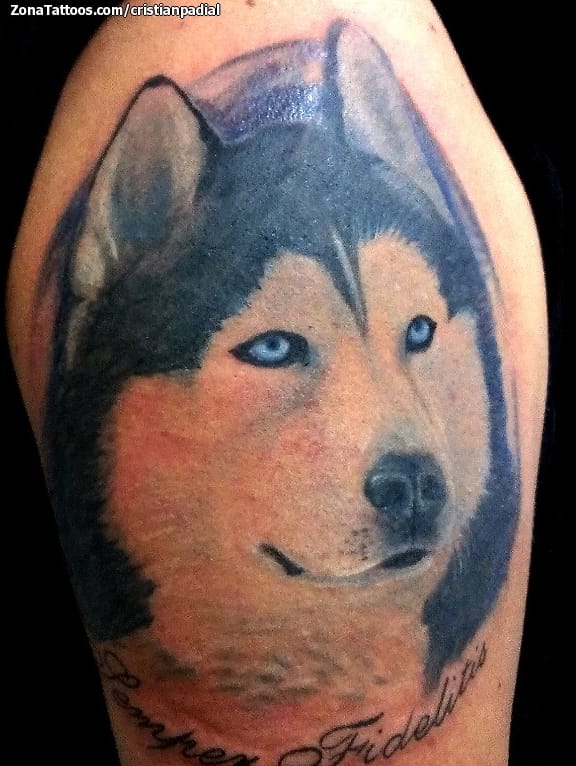 Foto de tatuaje Perros, Animales