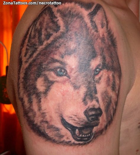 Tattoo photo Wolfs, Animals