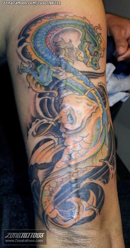 Tattoo photo Dragons, Asian, Koi