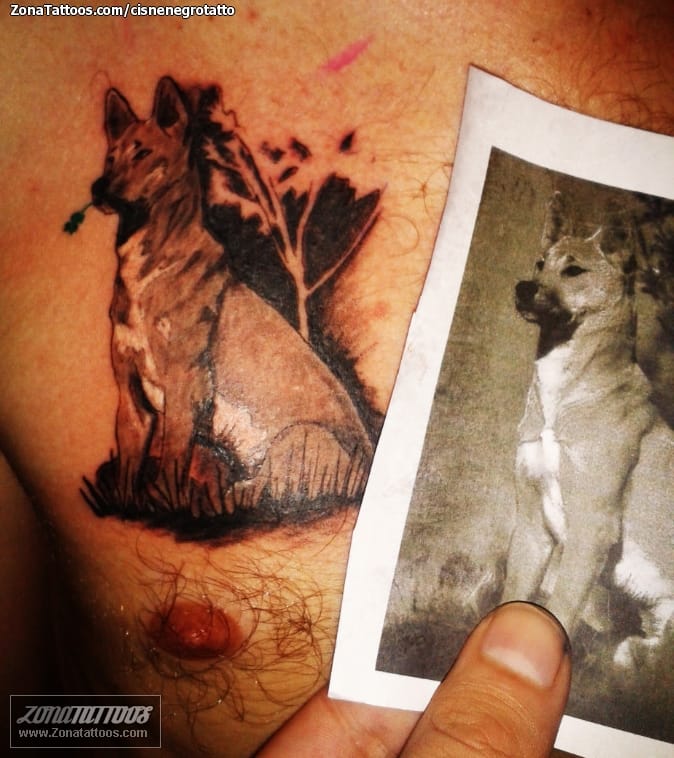 Foto de tatuaje Perros, Animales, Pecho