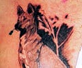 Tatuaje de CisneNegroTatto