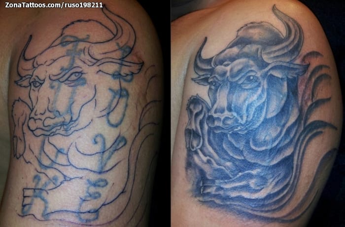 Foto de tatuaje Toros, Animales, Cover Up