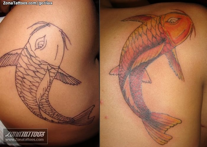 Foto de tatuaje Koi, Peces, Animales