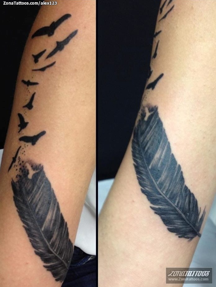 Foto de tatuaje Plumas, Aves