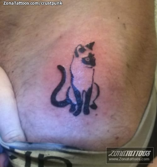 Foto de tatuaje Gatos, Animales