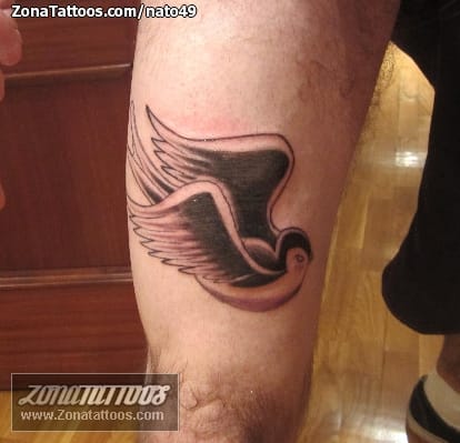 Foto de tatuaje Golondrinas, Aves, Animales