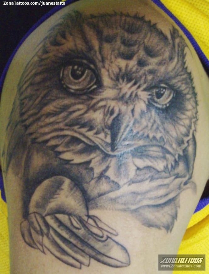 Foto de tatuaje Búhos, Aves, Animales