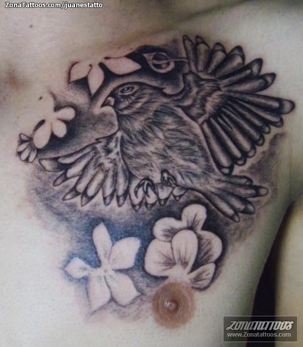 Tattoo photo Birds, Animals, Chest