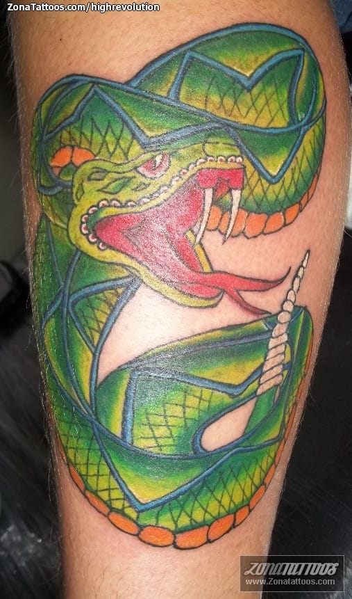 Tattoo photo Snakes, Animals