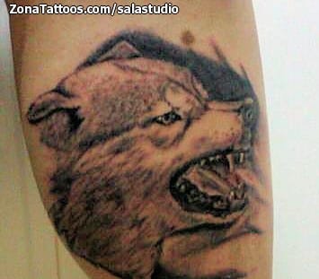 Tattoo photo Animals, Wolfs