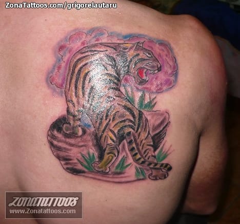 Foto de tatuaje Tigres, Animales, Omóplato