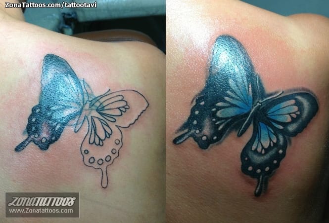 Tattoo photo Butterflies, Insects, Cover Up