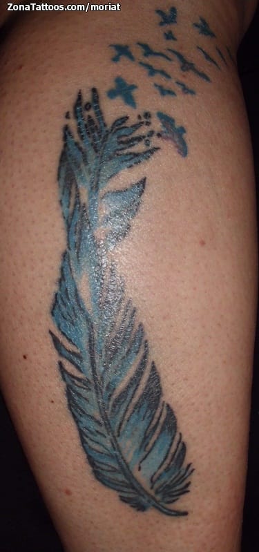 Tattoo photo Feathers