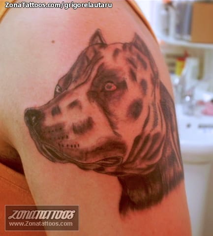 Foto de tatuaje Animales, Perros