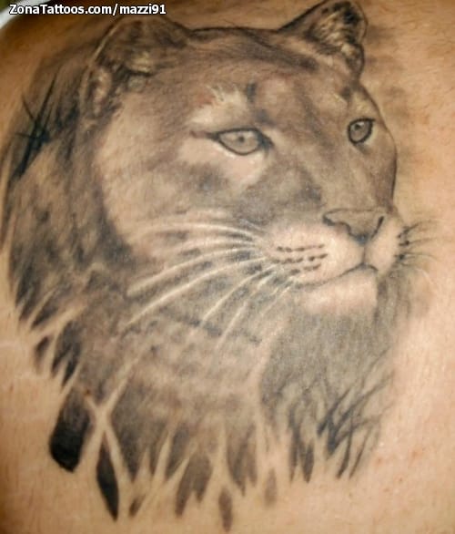 Tattoo photo Animals, Lions