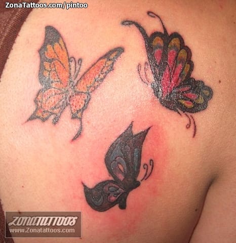 Foto de tatuaje Mariposas, Insectos