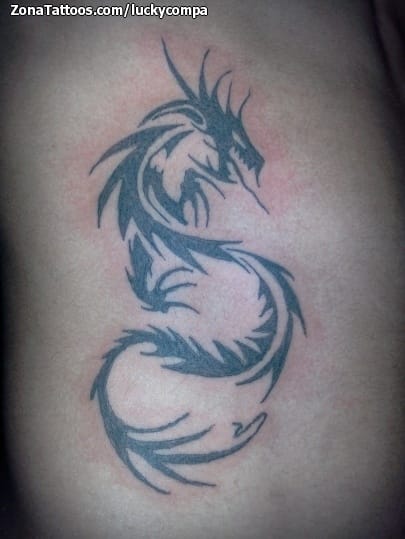 Foto de tatuaje Dragones, Tribales