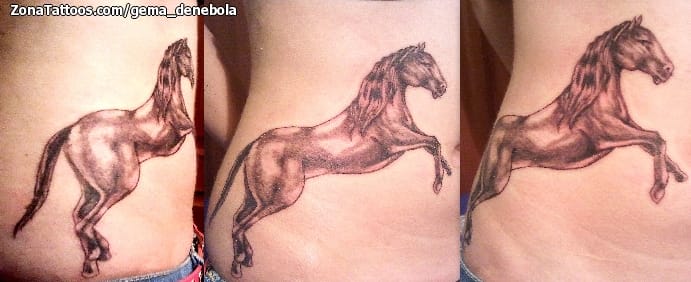 Foto de tatuaje Caballos, Animales